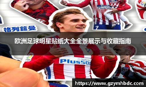 欧洲足球明星贴纸大全全景展示与收藏指南